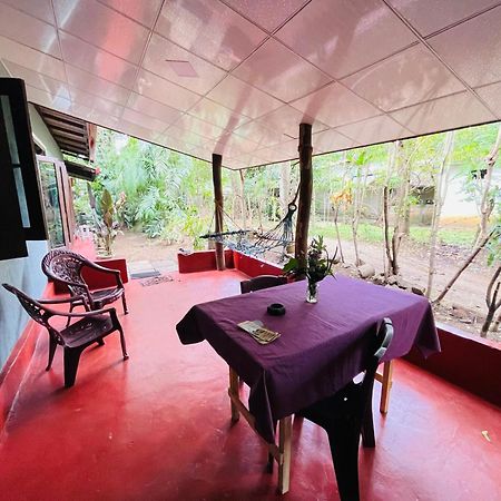 Green Grass Homestay สิกิริยา ภายนอก รูปภาพ