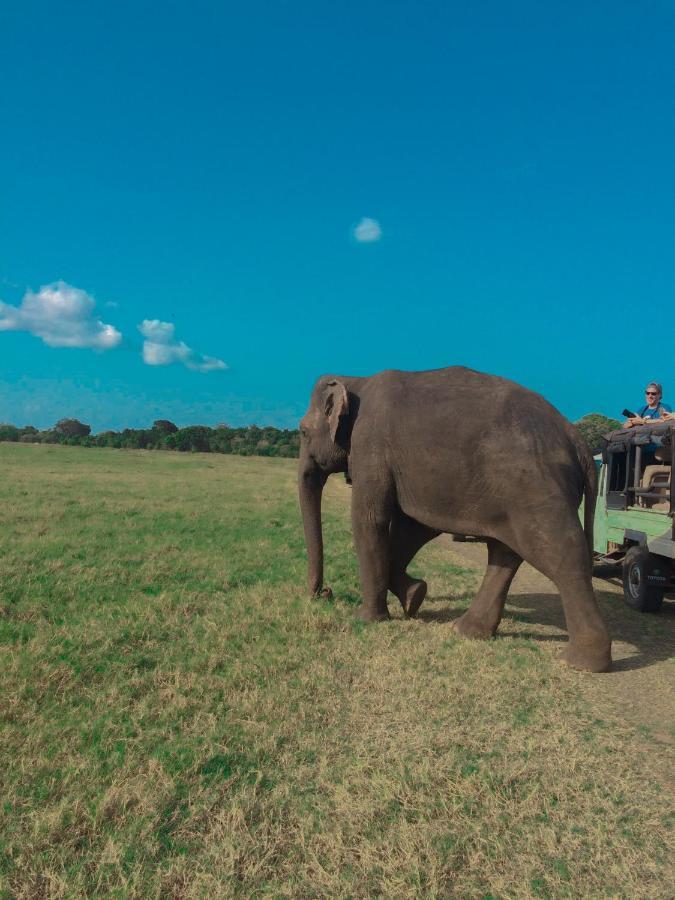 Green Grass Homestay สิกิริยา ภายนอก รูปภาพ