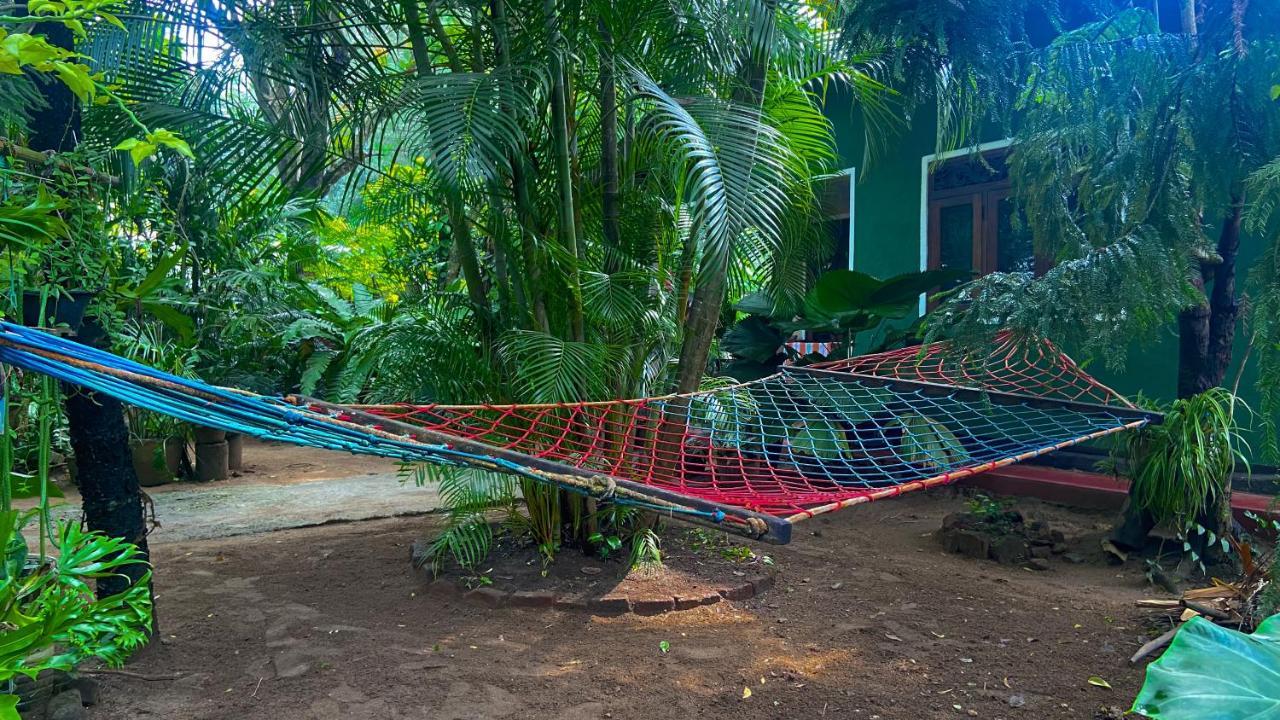 Green Grass Homestay สิกิริยา ภายนอก รูปภาพ