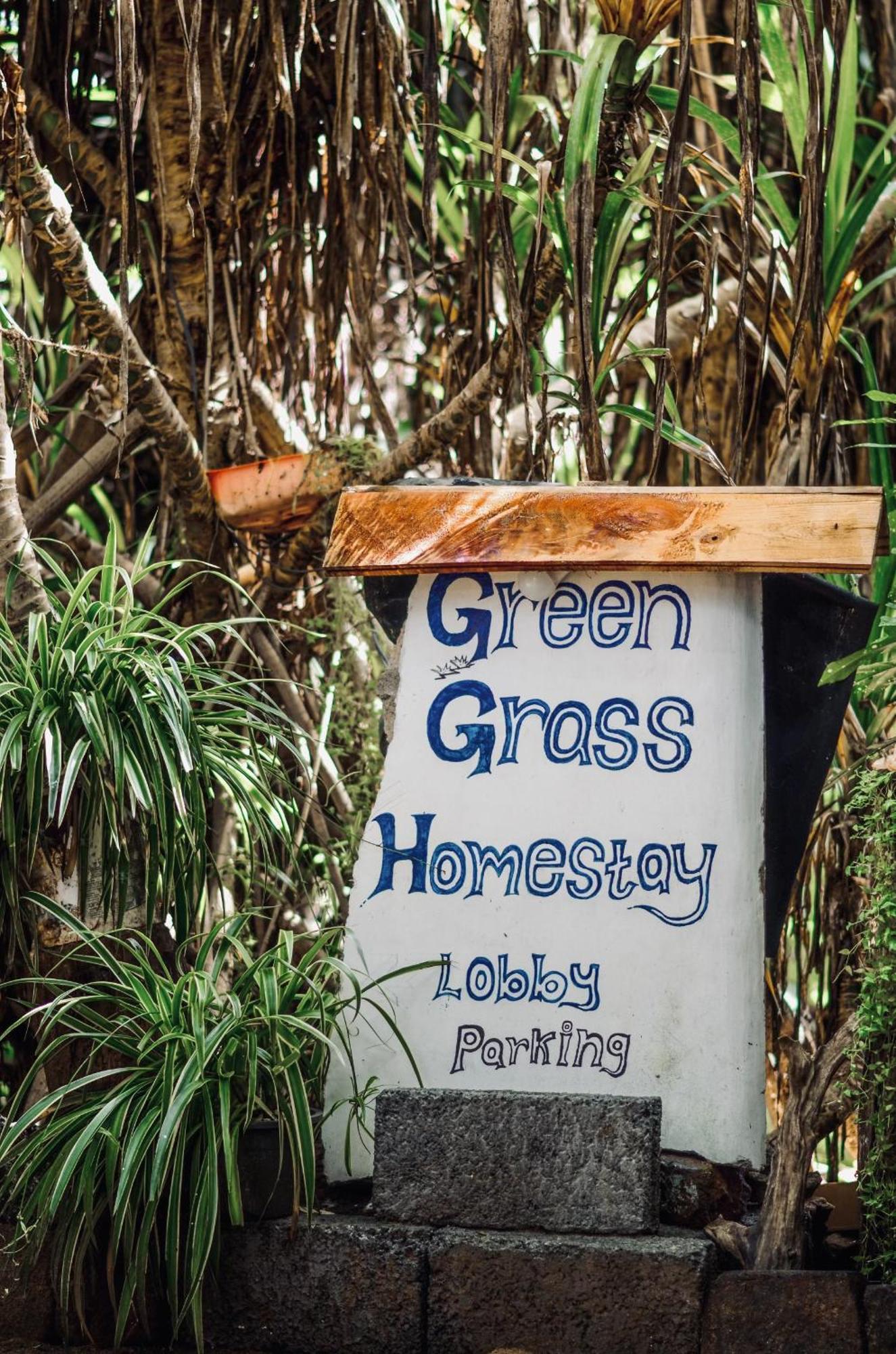 Green Grass Homestay สิกิริยา ภายนอก รูปภาพ