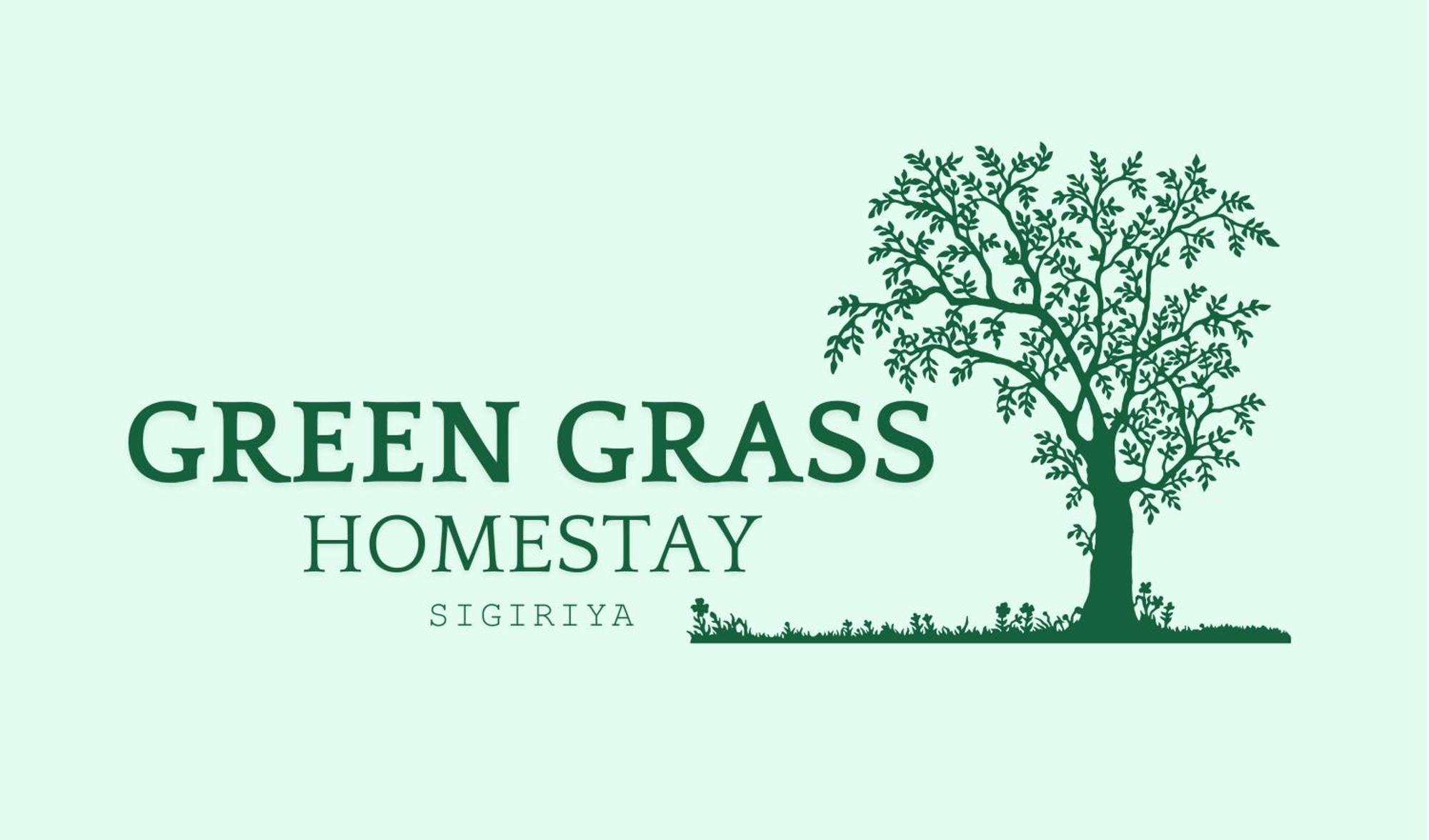 Green Grass Homestay สิกิริยา ภายนอก รูปภาพ
