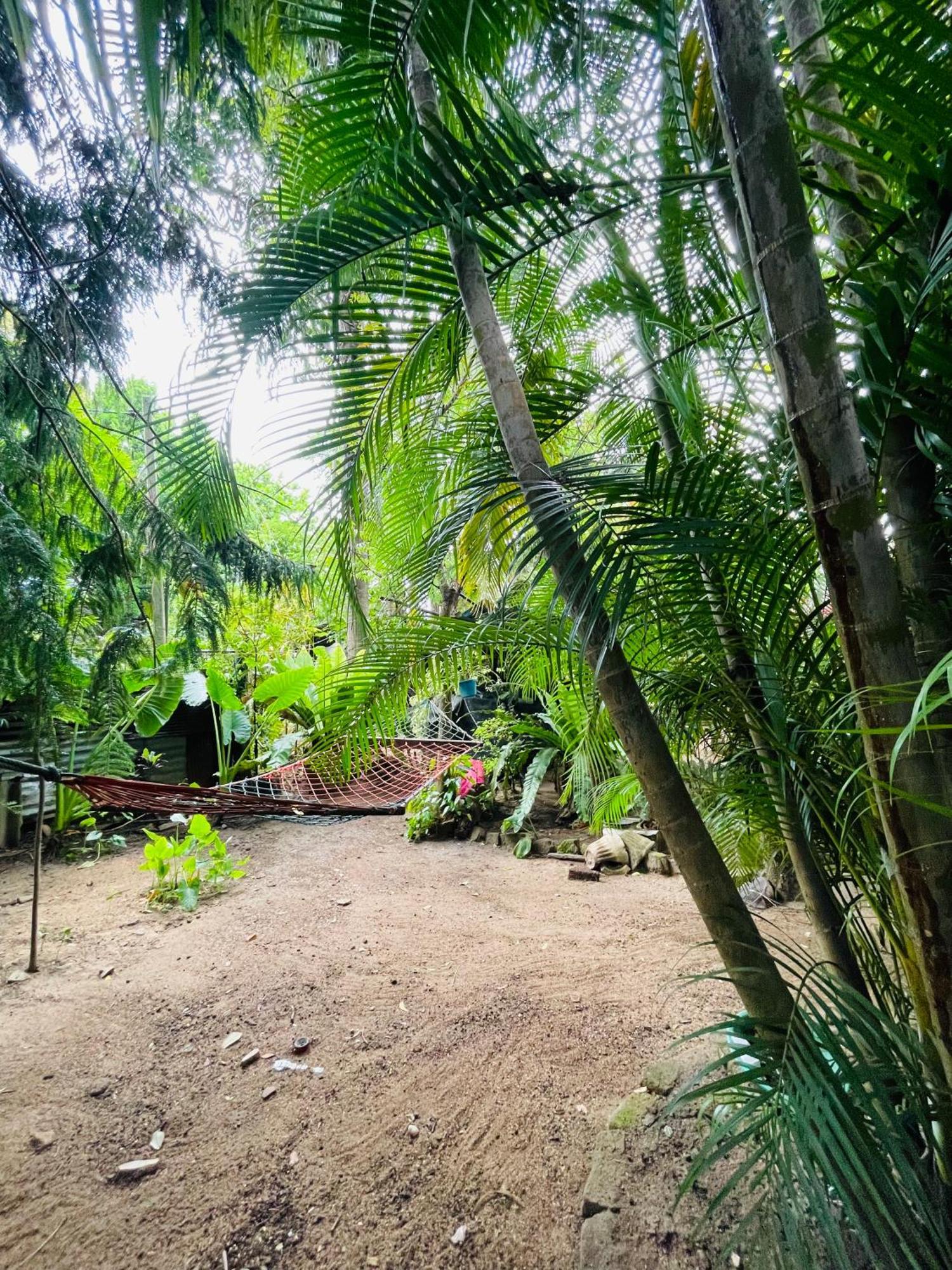 Green Grass Homestay สิกิริยา ภายนอก รูปภาพ